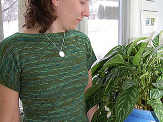 2244528138_04b723c8ee_z_medium2